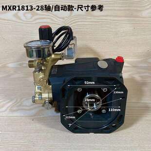 雷格美械MX 28轴高压清洗机配件泵头喷淋造雾洗车机头 R1813自动款