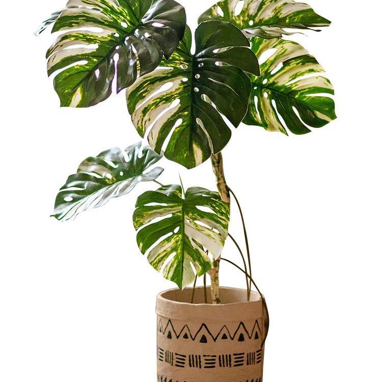 花叶龟背竹树绿植盆栽室内橱窗落地植物假绿植装饰摆件