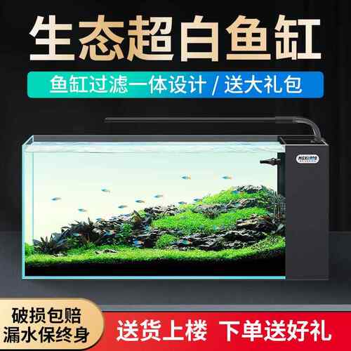 侧滤鱼缸小型客厅2025新款家用桌面迷你超白玻璃缸懒人观赏生态缸