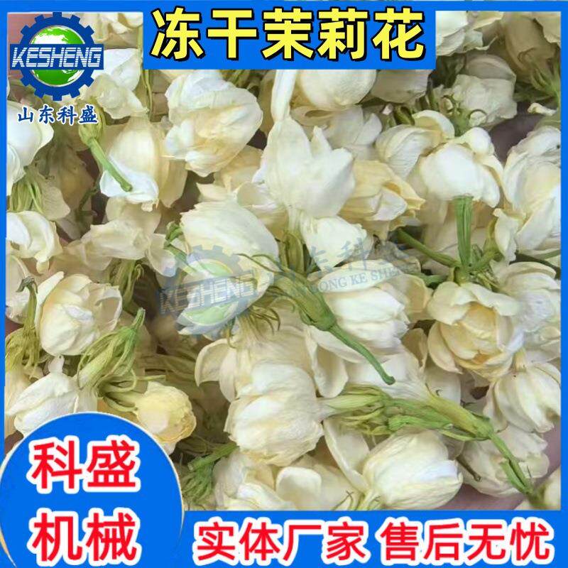 茉莉花冻干机 棉花糖冻干机 水果茶真空冷冻干燥机源头厂家