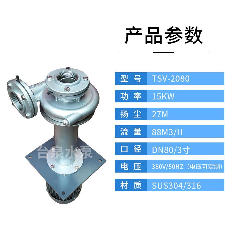 15W耐酸碱立式不锈钢液下泵配30198泵头可抽含颗粒纤维介质