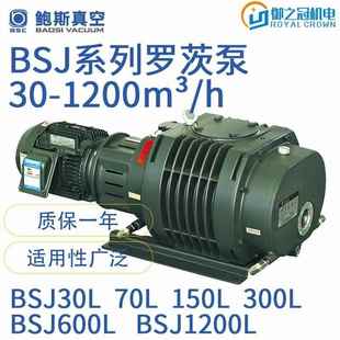 罗茨泵BSJ30L70L150L300L600L1200L风冷水冷罗茨真空泵