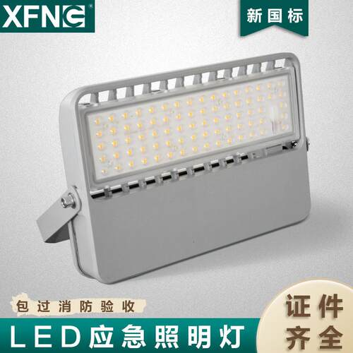 集中电源隧道应急灯 隧道基本应急照明30W加强照明可外加调光