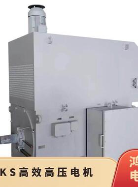 鸿泰压笼型三相异步电机 YXKS450-12 355KW 10KV 提启动力矩