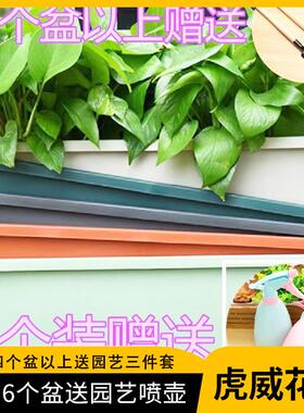长方形花盆霍伦长条特大号家用阳台种菜盆室内特大种植箱厂家现货
