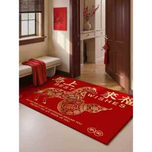 次日达马耐年入户门用地垫室内2外乔迁高级感脏防滑专025新款玄关