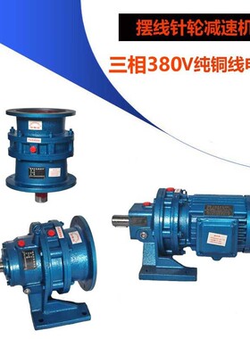 摆线 线针轮卧式BWD1立式减速机XWD2变速带直连马达配国标铜芯电