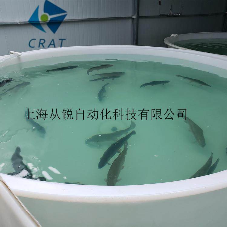 上海从锐500㎡循环水养殖设备/室内循环水养虾系统/循环水设备