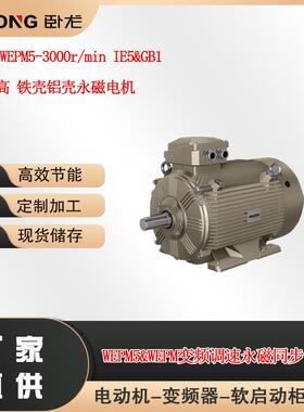 WOLONG WEPM5-3000r/min IE5&GB1 降中心高 铁壳铝壳永磁电机