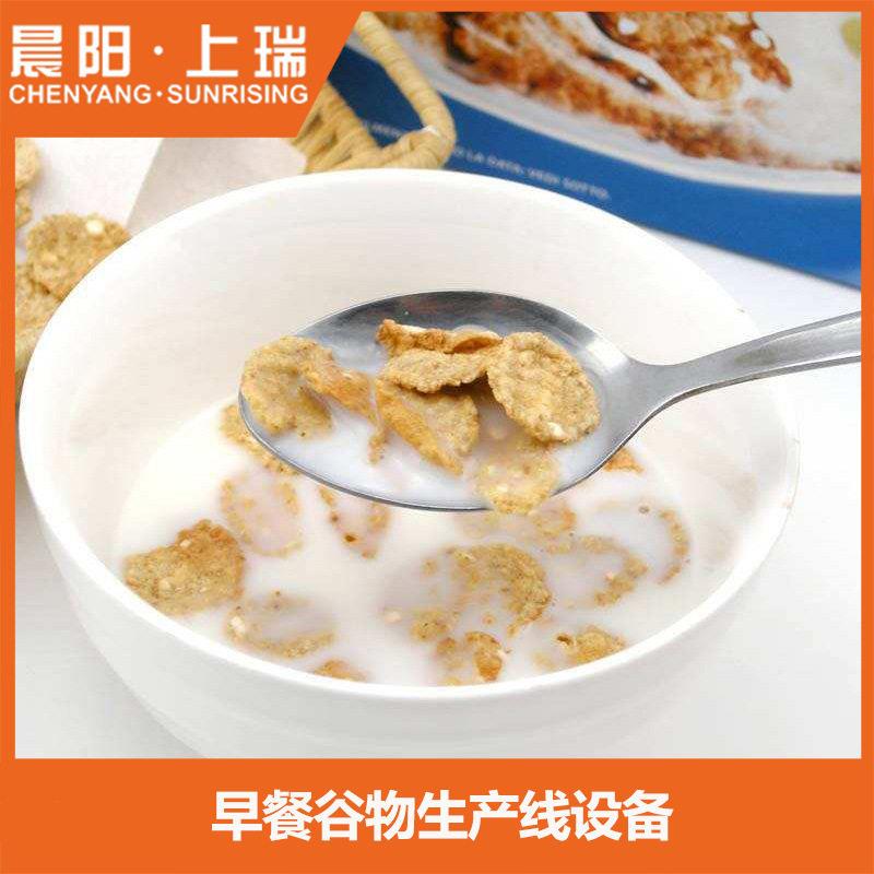 大型膨化早餐谷物玉米片生产线加工设备 双螺杆挤出机