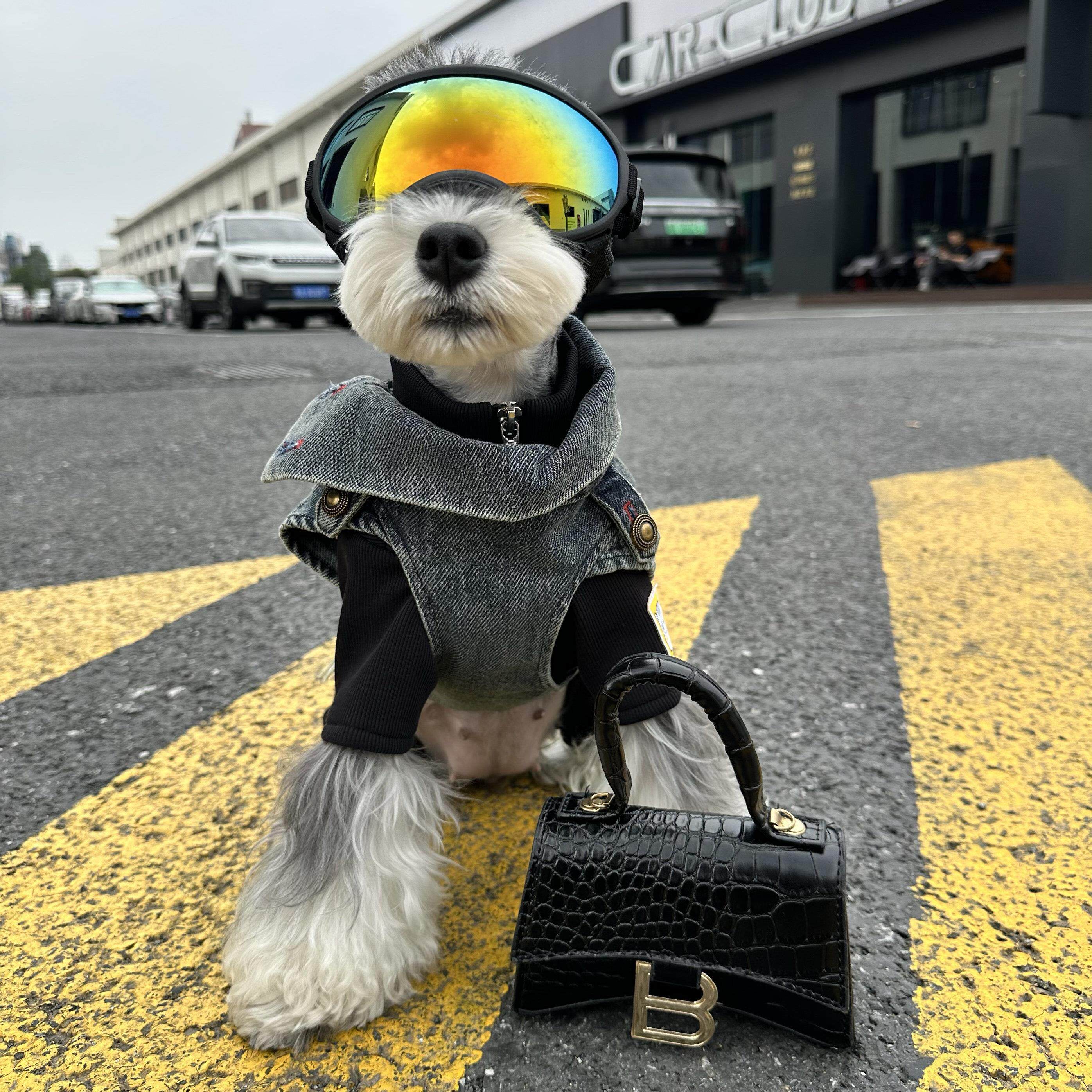 狗狗衣服牛仔雪纳瑞比熊泰迪柴犬西高地宠物外套AI