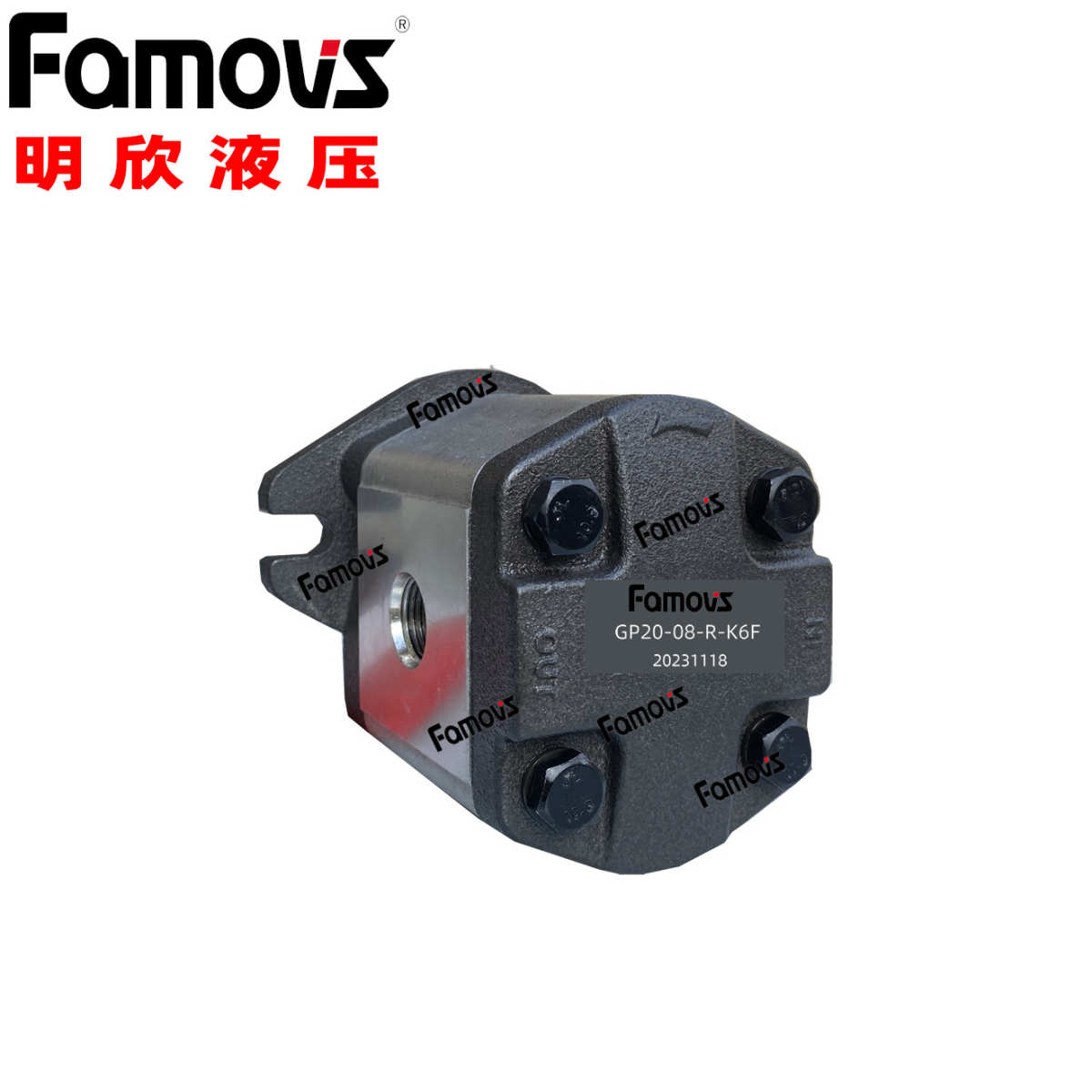 PB-16-R-K6F 直供明欣台湾FAMOVS高压齿轮泵 齿轮油泵 油压齿轮泵