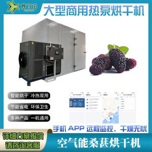 桑葚烘干机中药材烘干设备空气能商用大型干燥设备热泵果蔬干燥箱