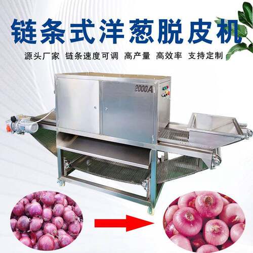 洋葱脱皮机链条式速度可调无损伤洋葱加工设备生产厂家洋葱剥皮机