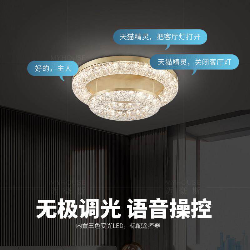 2024新款轻奢客厅吸顶灯创意个性书房饭厅环氧树脂卧室全铜灯具