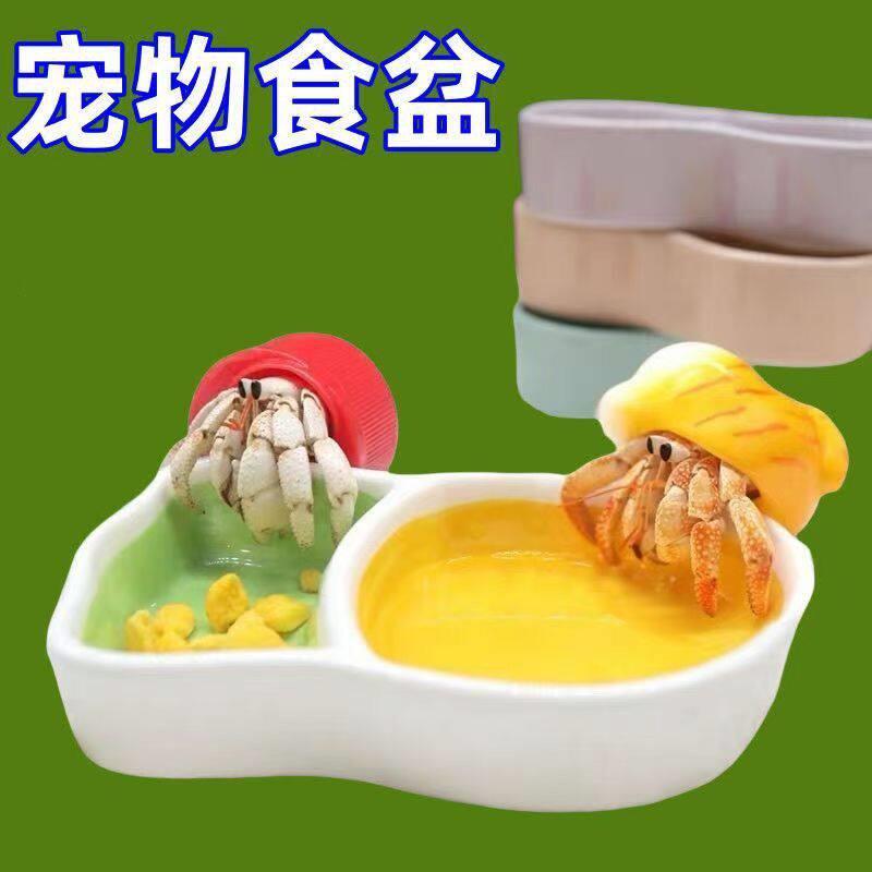 寄居蟹食盆胡萝卜水盆双格防溺水泡澡盆大号小号爬宠多功能二合一