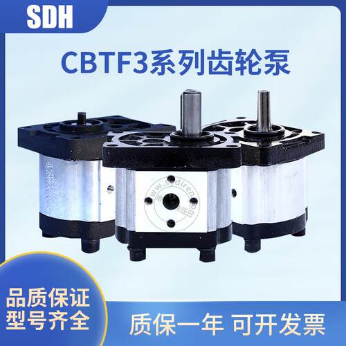 SDH上海大众液压齿轮泵CBTt三模数转向泵特种车油泵电机驱动