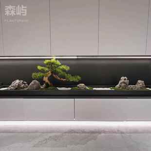 新中式长台桌花造景桌面永生苔藓微景观摆件枯山水长条茶室办公桌