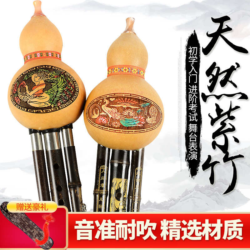 葫芦丝初学乐器降B调C调天然紫竹双音专业教学入门真葫芦丝