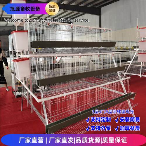 养殖家用3层4门蛋鸡笼A型笼阶梯笼镀锌工艺养殖设备