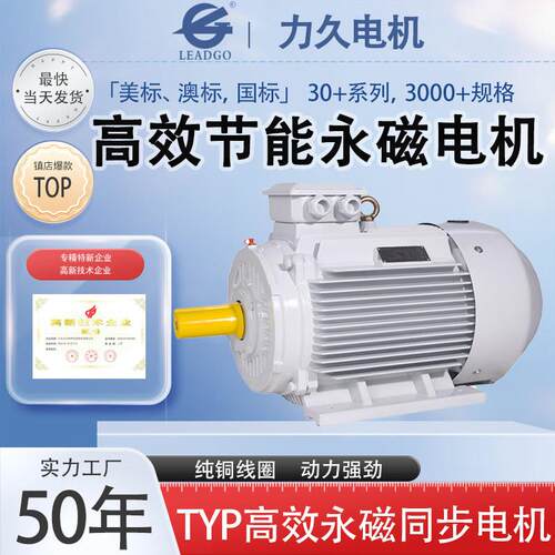 TYP永磁电机效省电超效电机低速直驱运行控制系统定制