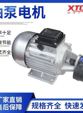 齿轮油泵电机组70/550W配CBB2.5/4/6/10油泵组配齿轮油泵