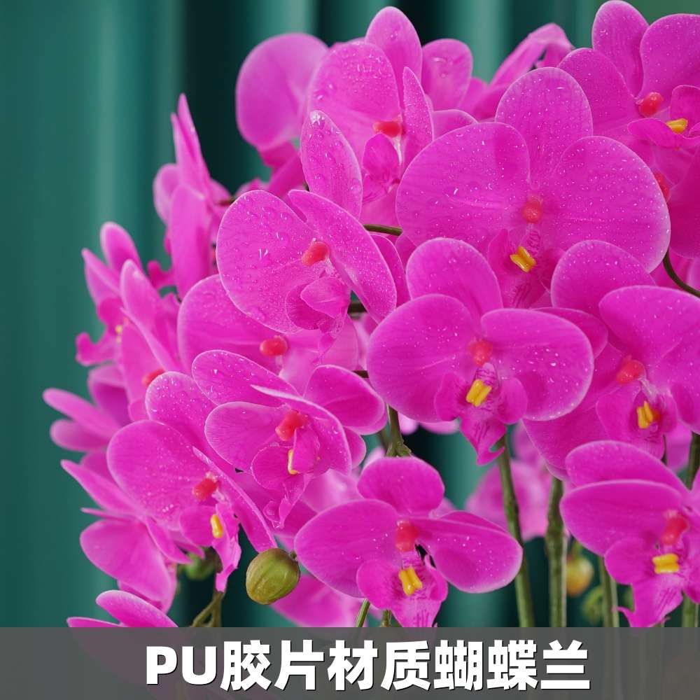 蝴蝶兰仿真花盆栽大盆新中式PU手感兰花客厅盆景柜台酒店前台花艺