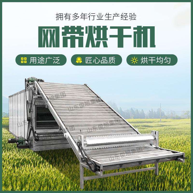 网带水果烘干机 多层网带烘干机器厂家水果蔬菜大型烘干机全自动