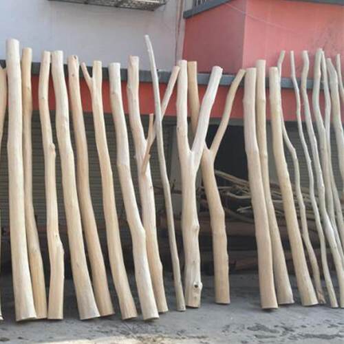 cs天然枯木干树枝装饰木客厅玄关橱原窗干树干隔断F76M9T75屏风幼