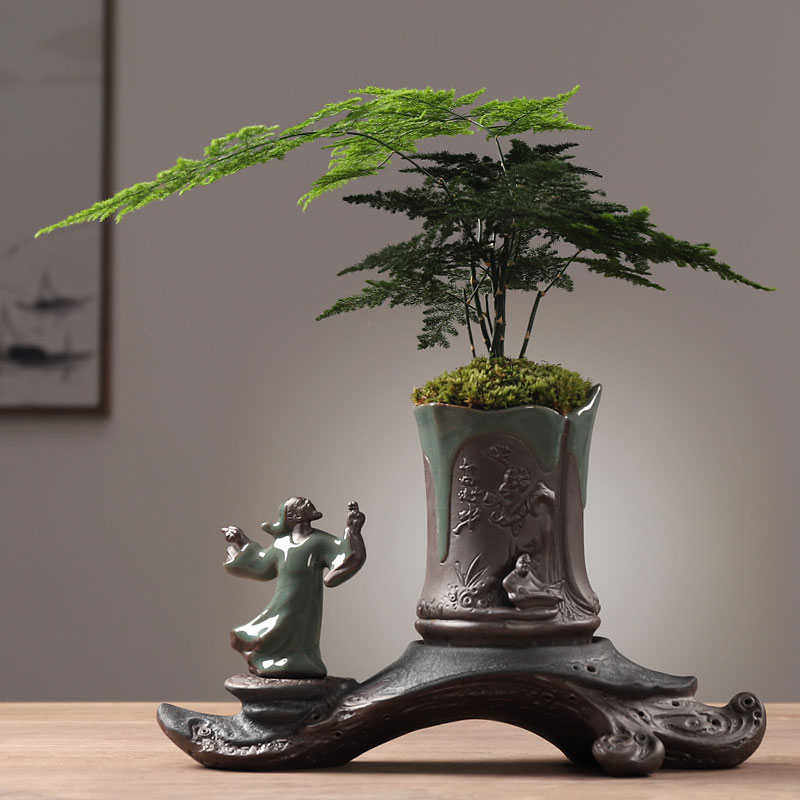 文竹绿植盆景盆栽花卉植物室内四季绿色好养喜阴花草办公桌面摆设