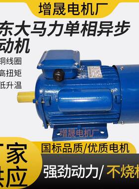 厂家供应大马力单相双值电容异步电动机YC132MB-47.5W220V