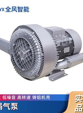 RB-91D-2旋涡高压真空泵11千瓦污水曝气高压旋涡气泵RB-81D-2价格