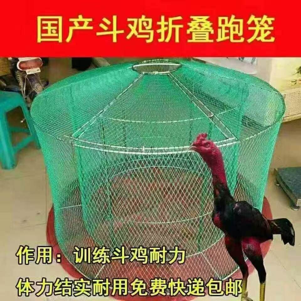 斗鸡双层折叠跑笼斗鸡笼子斗鸡折叠跑笼斗鸡训练组装跑笼斗鸡罩笼