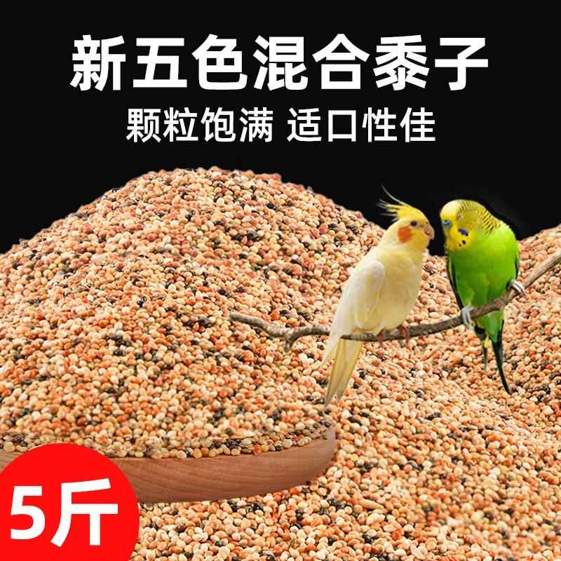 鹦鹉鸟粮饲料虎皮鹦鹉专用饲料玄凤牡丹鸟食五色黍子谷子中小鹦鹉