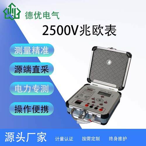 绝缘电阻测试仪 DY2671绝缘电阻测试仪 2500V兆欧表