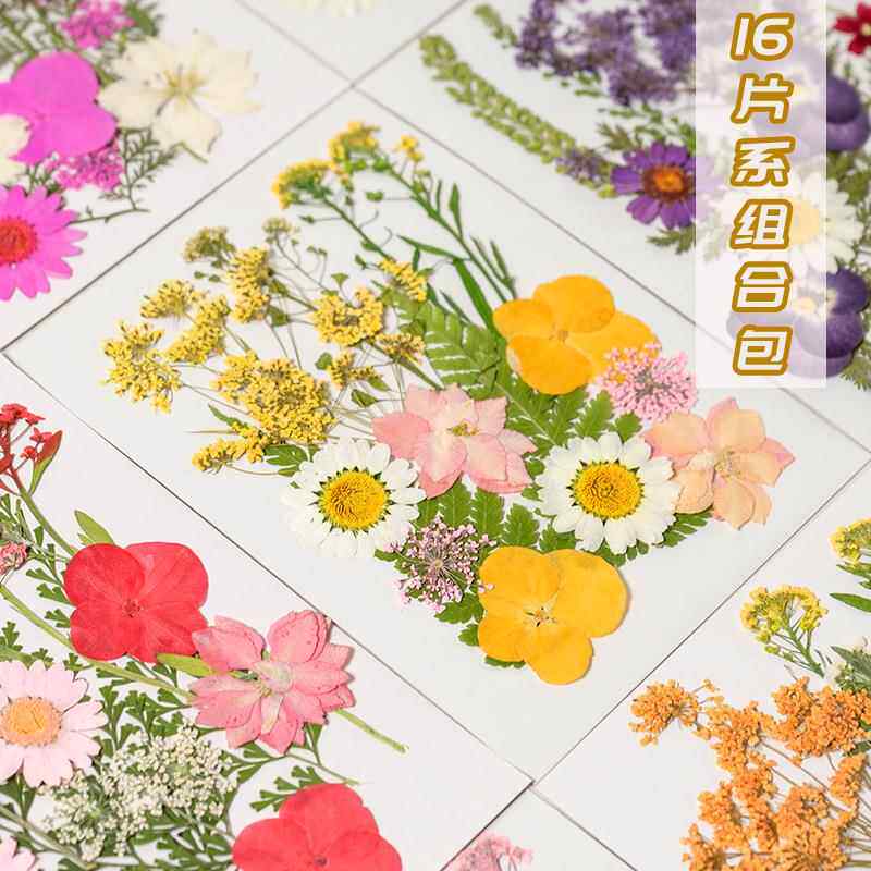 干花包真花滴胶手机壳手工团扇贺卡书签押花材料玫瑰花树叶大花包