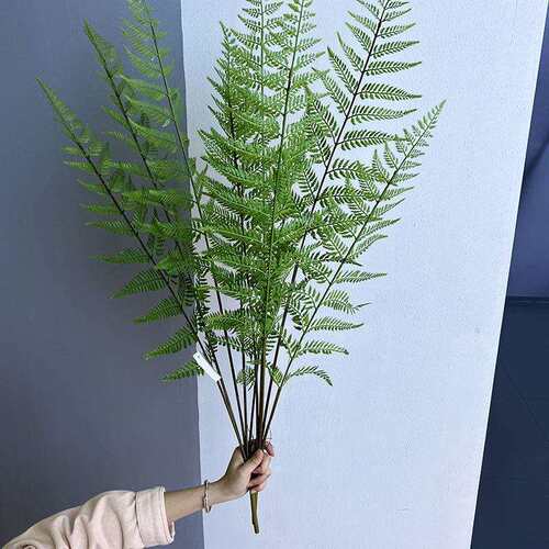 采购产品模ZXJ拟马耳蕨，鳞蕨，绿，色蕨植物，蕨叶片，假花微景