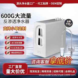 净水机 净水器家用直饮水机ro反渗透双出水过滤器除垢纯水机厨下式