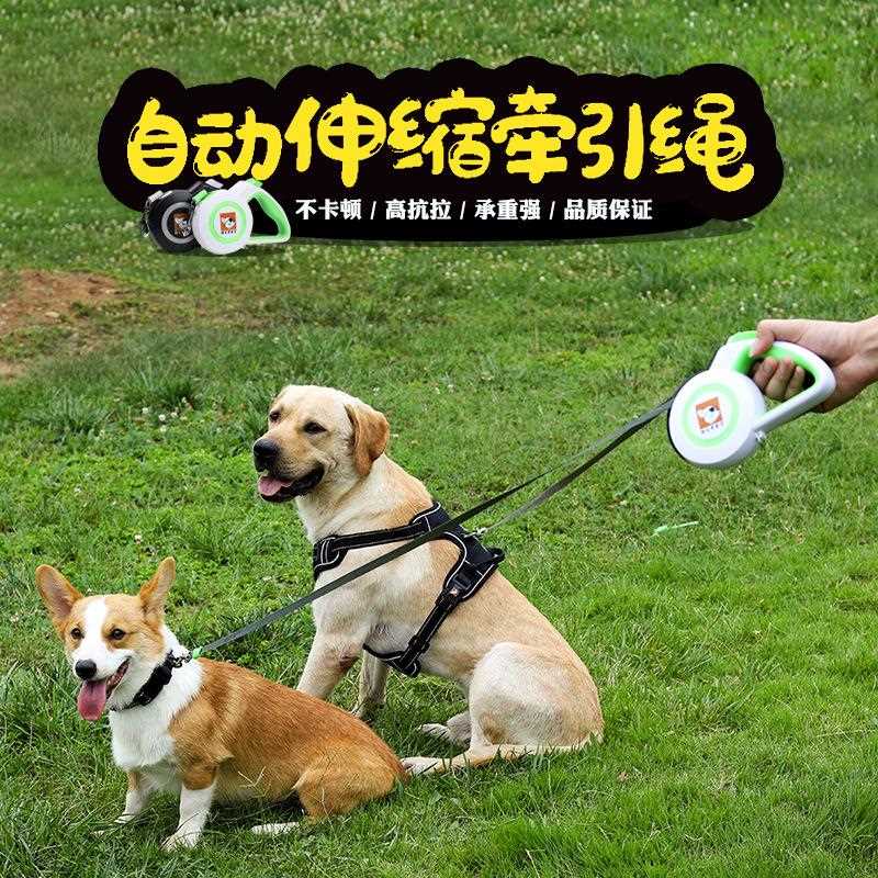 新款直销宠物伸缩牵引绳 狗狗自动牵引器宠物用品中小型犬柯基新