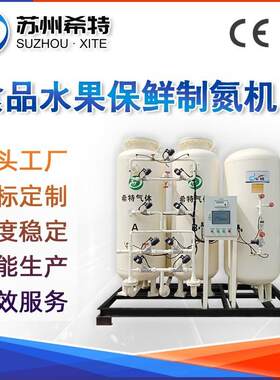 食品变压吸附制氮机蔬菜水果饮料行业高纯氮气设备食品大型氮气机