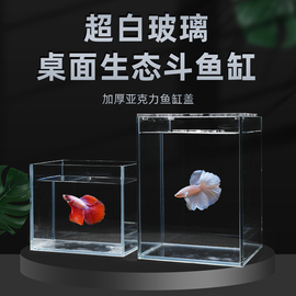 桌面生态鱼缸超白玻璃斗鱼，专用缸斑马鱼，水族箱定制造景透明小鱼缸