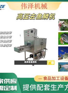 水产加工鱼类去鱼鳞设备高压去鳞机草鱼花鲢鱼360度无死角