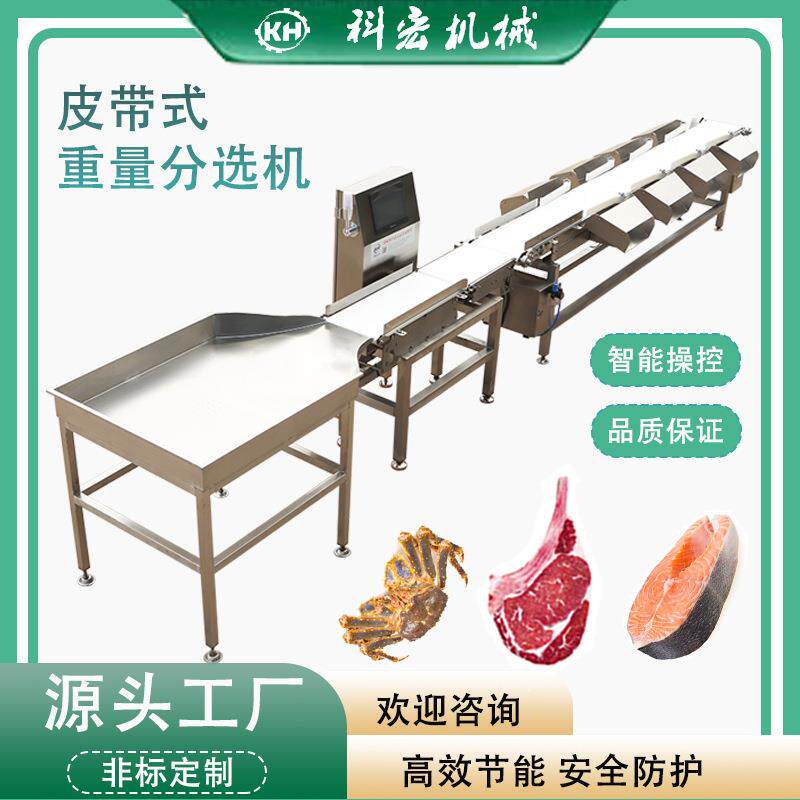 鱼类重量分选机海产品自动称重分拣机多宝鱼沙丁鱼分级机