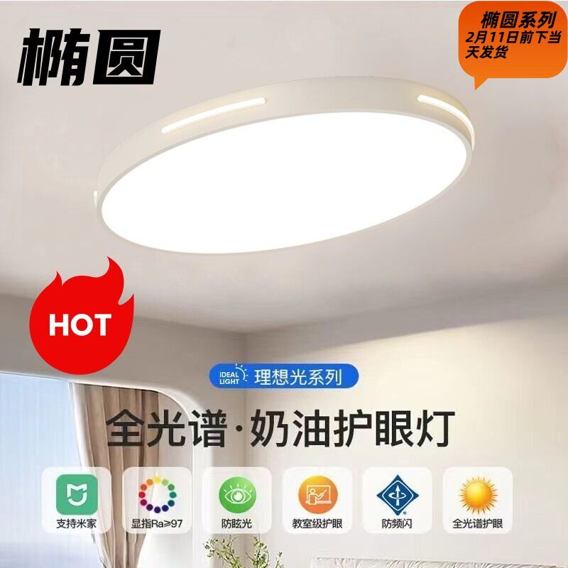 定制椭圆形led客厅客厅灯卧室灯语音吸顶灯遥控灯卧室简约现代