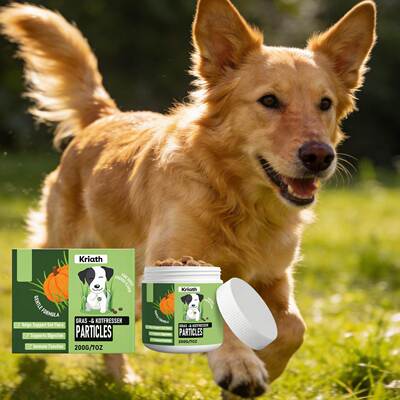Kriath Probiotic Chews for Dogs Gentle Intestinal Care and N