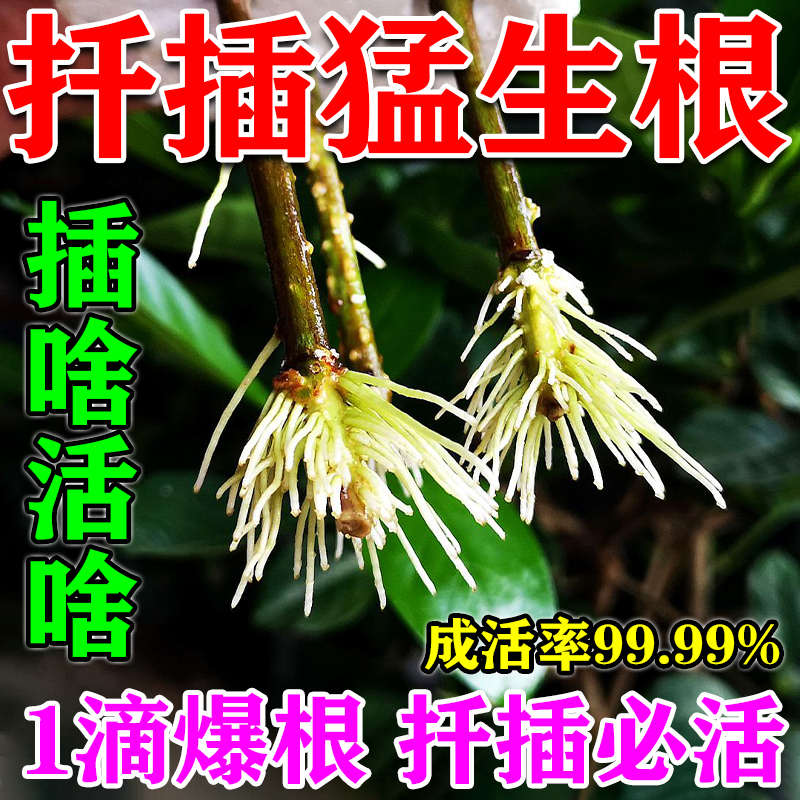 2024新款植物扦插生根剂生根液月季果树嫁接壮苗剂生根粉营养液