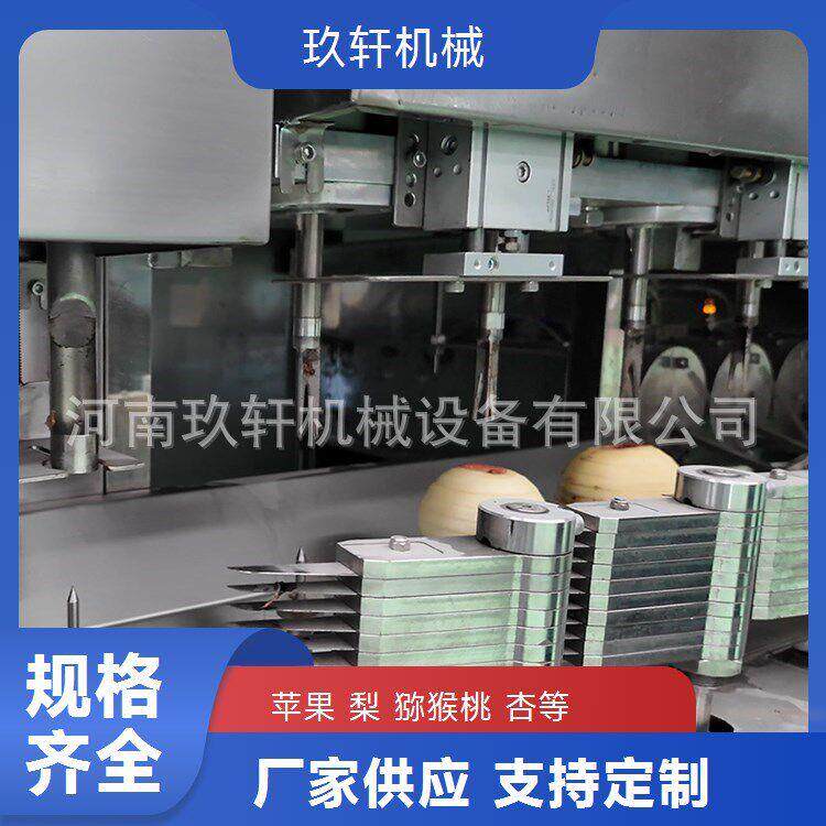 双工位梨子削皮去核分瓣机全自动梨子削皮机