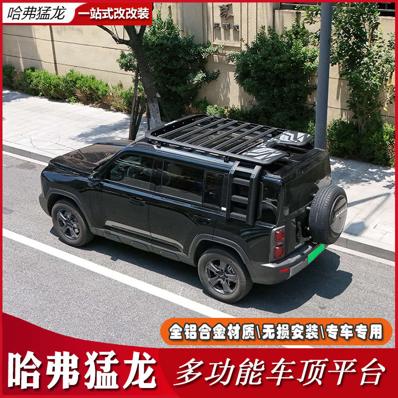 哈弗猛龙车顶平台车顶架车顶行李架侧梯侧书包机甲网侧帐改装专用