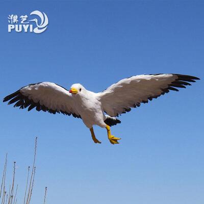 彷真海鸥模型真羽毛装饰褐翅燕鸥沙滩摄影道具湿地动物摆件工艺品