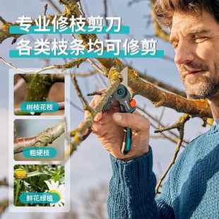 园林果树剪枝剪专用盆景花艺剪刀 德国进口嘉丁拿专业园艺修枝剪